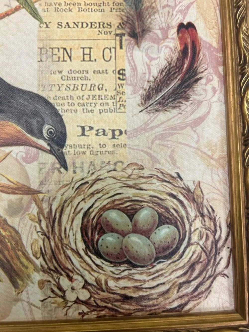 Vintage Framed Bird Nest Wall Art Ornate Gold Frame Cottage Farmhouse Decor